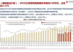 TON遭遇大幅下滑超431%，投资者恐慌性抛售
